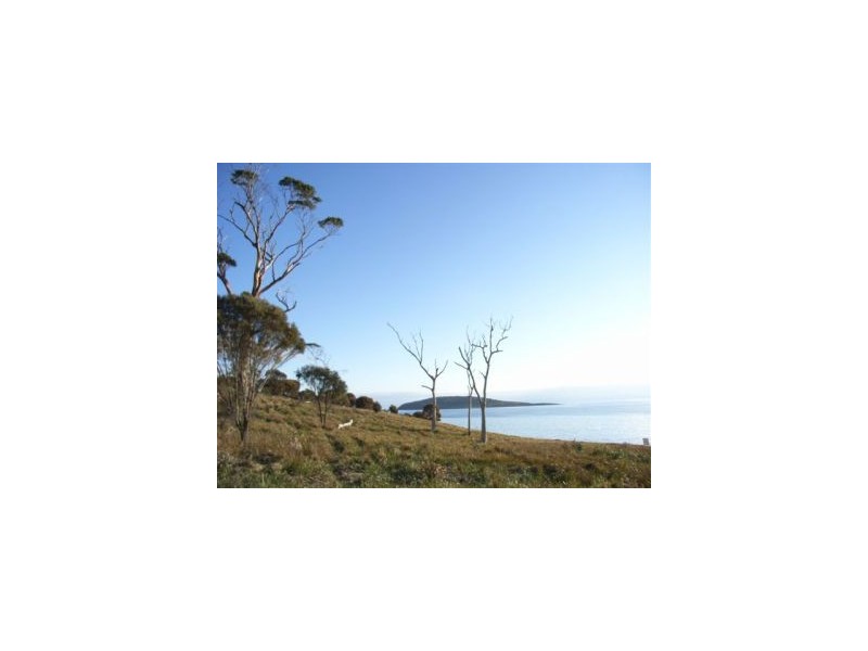 Lot 1 Island Rise Estate, White Beach TAS 7184