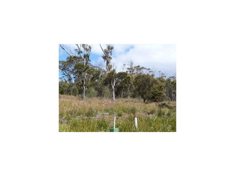 Lot 1 Island Rise Estate, White Beach TAS 7184