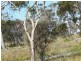 Lot 1 Island Rise Estate, White Beach TAS 7184