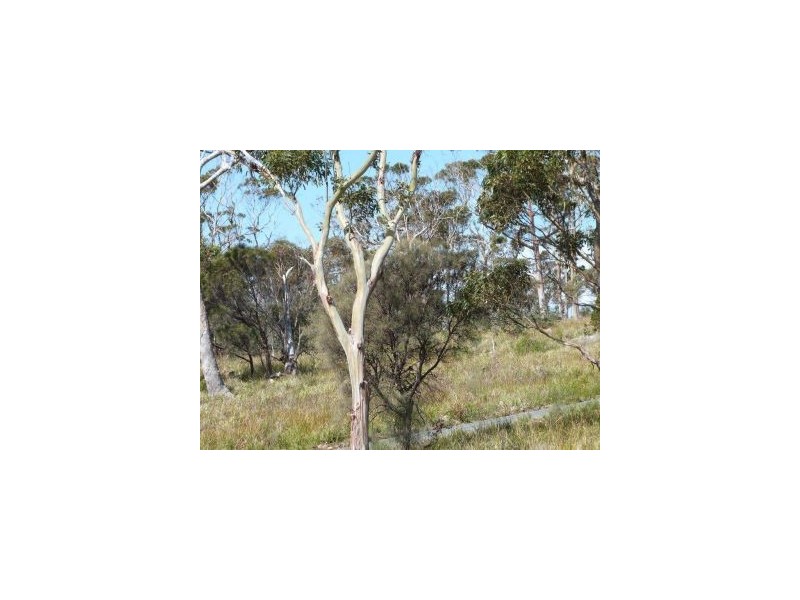 Lot 1 Island Rise Estate, White Beach TAS 7184