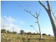 Lot 1 Island Rise Estate, White Beach TAS 7184