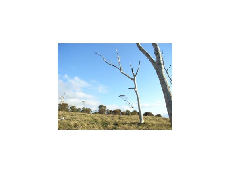Lot 1 Island Rise Estate, White Beach TAS 7184