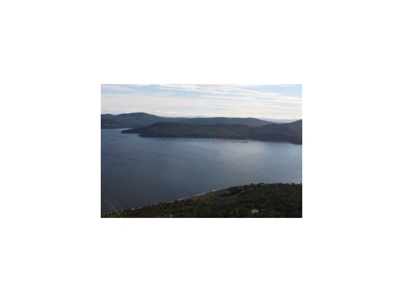 Lot 1 Island Rise Estate, White Beach TAS 7184