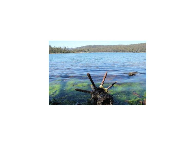 6827a Arthur Highway, Port Arthur TAS 7182