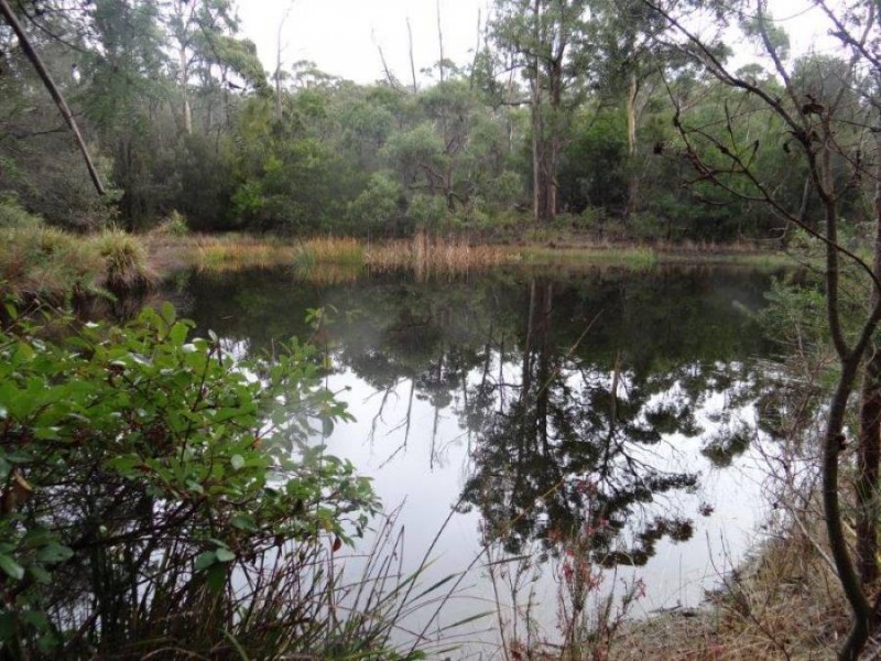 31 Noyes Road, White Beach TAS 7184