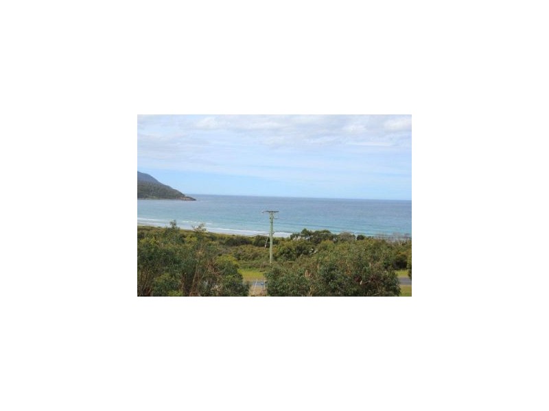 40 Blowhole Road, Eaglehawk Neck TAS 7179