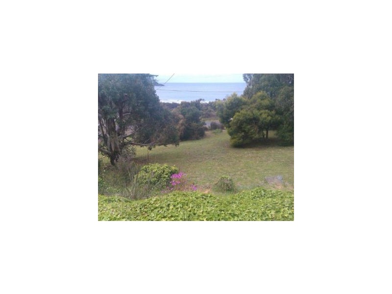 40 Blowhole Road, Eaglehawk Neck TAS 7179