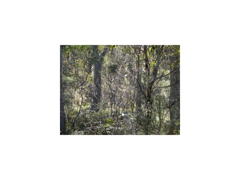 568 Dam Road, Saltwater River TAS 7186