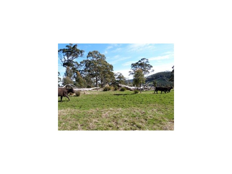 Lot 1 Gillies Road, Nubeena TAS 7184