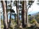 Lot 1 Gillies Road, Nubeena TAS 7184