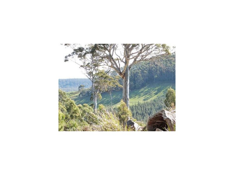 Lot 1 Gillies Road, Nubeena TAS 7184