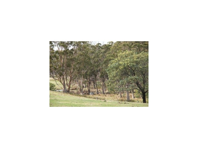 378 Delmore Road, Forcett TAS 7173