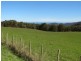 Lot 8 / 459 Nubeena Back Road, Koonya TAS 7187