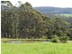 Lot 8 / 459 Nubeena Back Road, Koonya TAS 7187