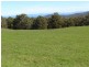Lot 8 / 459 Nubeena Back Road, Koonya TAS 7187