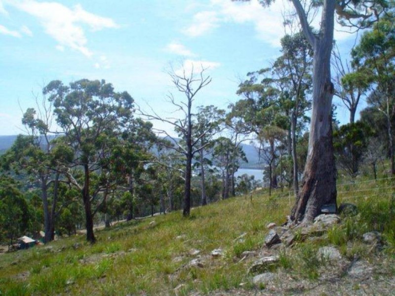159 White Beach Road, White Beach TAS 7184