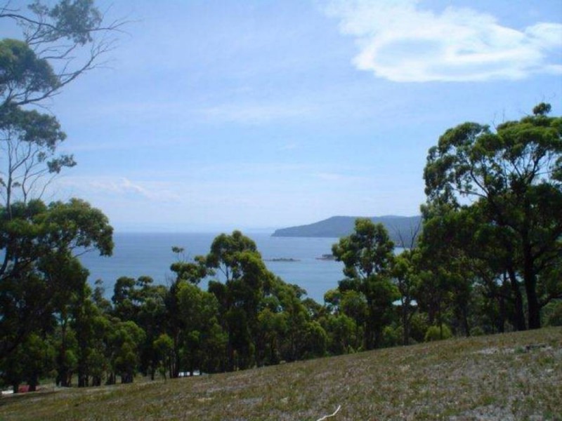 159 White Beach Road, White Beach TAS 7184