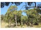 159 White Beach Road, White Beach TAS 7184