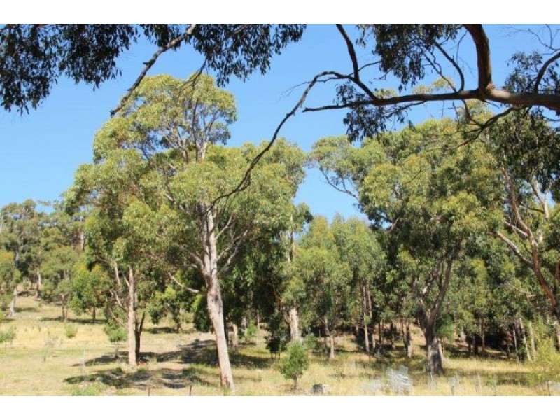 159 White Beach Road, White Beach TAS 7184