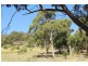159 White Beach Road, White Beach TAS 7184