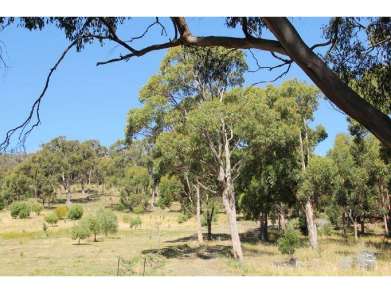 159 White Beach Road, White Beach TAS 7184