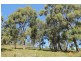159 White Beach Road, White Beach TAS 7184