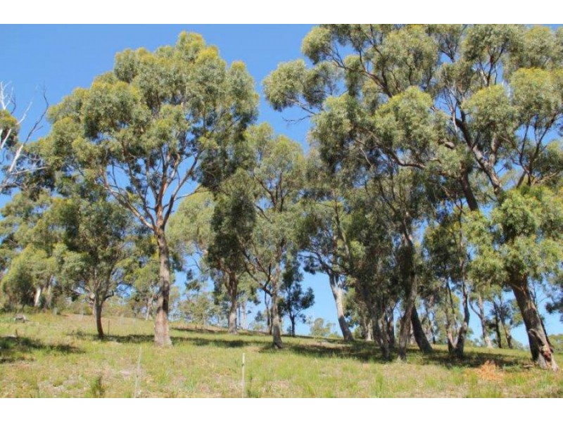 159 White Beach Road, White Beach TAS 7184