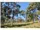 159 White Beach Road, White Beach TAS 7184
