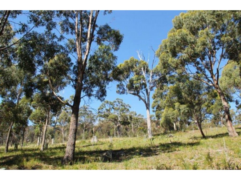 159 White Beach Road, White Beach TAS 7184