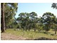 159 White Beach Road, White Beach TAS 7184