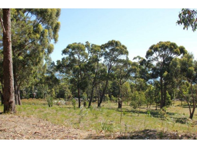 159 White Beach Road, White Beach TAS 7184