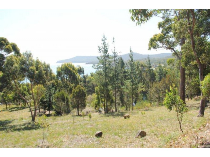159 White Beach Road, White Beach TAS 7184
