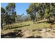 159 White Beach Road, White Beach TAS 7184