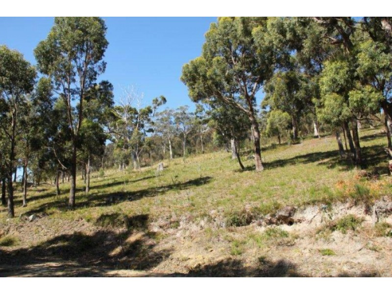 159 White Beach Road, White Beach TAS 7184