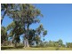 159 White Beach Road, White Beach TAS 7184