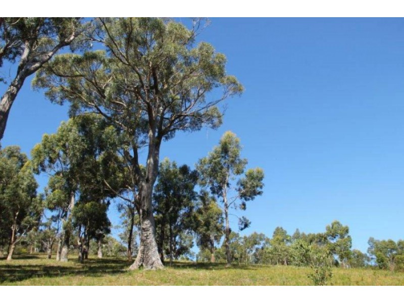 159 White Beach Road, White Beach TAS 7184