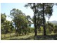159 White Beach Road, White Beach TAS 7184