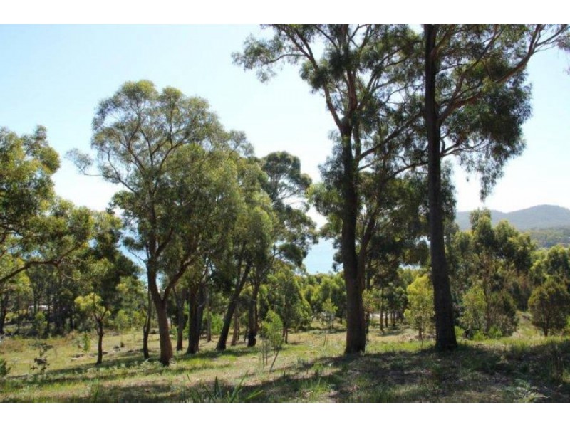 159 White Beach Road, White Beach TAS 7184