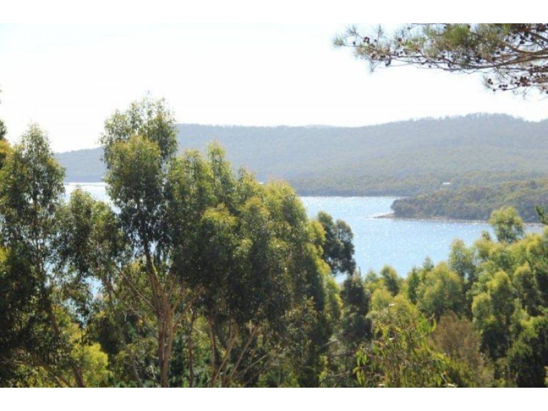 159 White Beach Road, White Beach TAS 7184