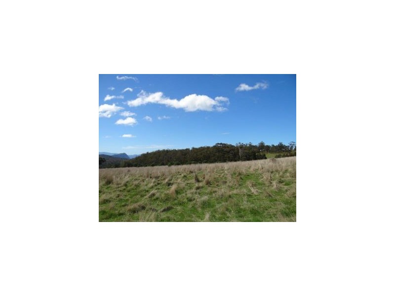Lot 1 Bream Creek Road, Bream Creek TAS 7175