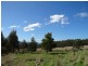 Lot 1 Bream Creek Road, Bream Creek TAS 7175