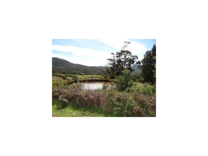 Lot 1 Bream Creek Road, Bream Creek TAS 7175