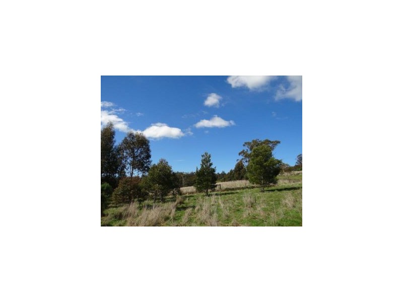 Lot 1 Bream Creek Road, Bream Creek TAS 7175