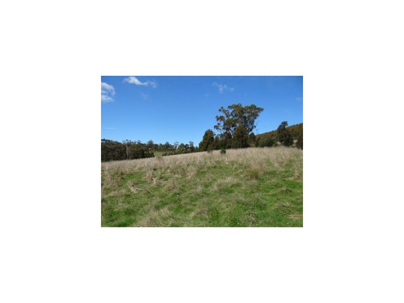 Lot 1 Bream Creek Road, Bream Creek TAS 7175