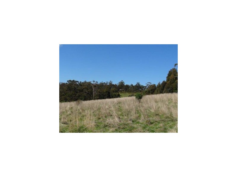 Lot 1 Bream Creek Road, Bream Creek TAS 7175