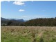 Lot 1 Bream Creek Road, Bream Creek TAS 7175