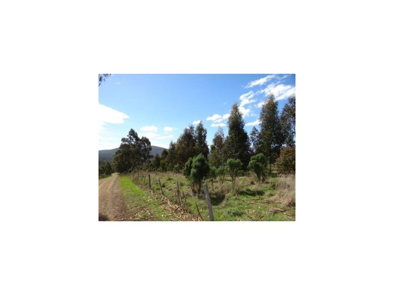 Lot 1 Bream Creek Road, Bream Creek TAS 7175