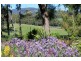 792 Nubeena Road, Premaydena TAS 7185