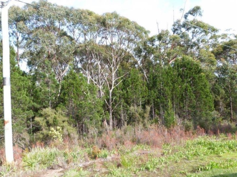 Lot 1 Arthur Highway, Port Arthur TAS 7182