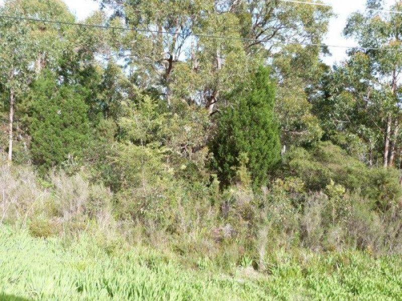 Lot 1 Arthur Highway, Port Arthur TAS 7182